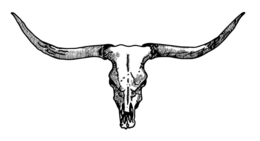 Trademark