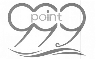 999 POINT logo