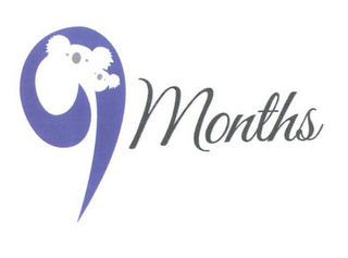 9MONTHS logo