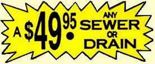 A $49.95 ANY SEWER OR DRAIN logo