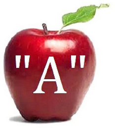 "A" logo