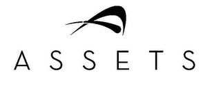 A A S S E T S logo