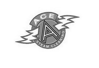 A ACE STEAM CLEANING logo