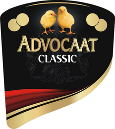 A ADVOCAAT CLASSIC logo