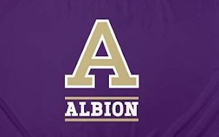 A ALBION logo