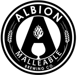 A ALBION MALLEABLE BREWING CO. logo