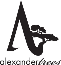 A ALEXANDER TREES logo