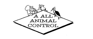 A ALL ANIMAL CONTROL logo