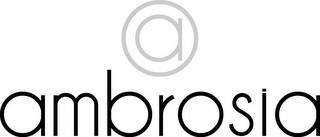 A AMBROSIA logo