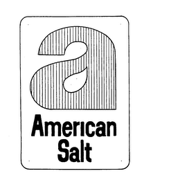 A AMERICAN SALT logo