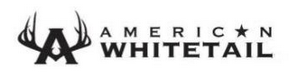 A AMERICAN WHITETAIL logo