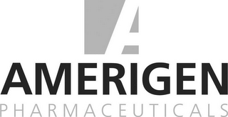A AMERIGEN PHARMACEUTICALS logo