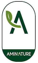 A AMINATURE logo