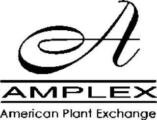 A AMPLEX AMERICAN PLANT EXCHANGE logo