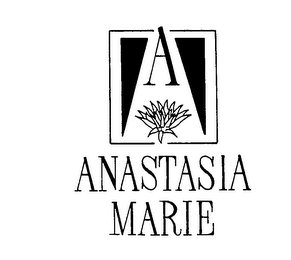A ANASTASIA MARIE logo