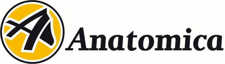 A ANATOMICA logo