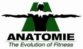 A ANATOMIE THE EVOLUTION OF FITNESS logo
