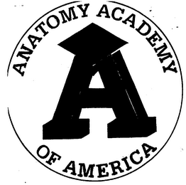 A ANATOMY ACADEMY OF AMERICA logo