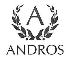 A ANDROS logo