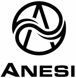 A ANESI logo