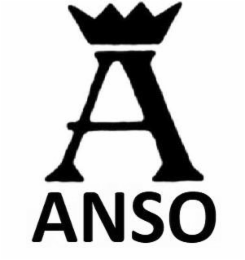A ANSO logo