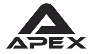 A APEX logo