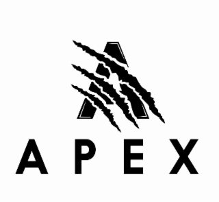 A APEX logo