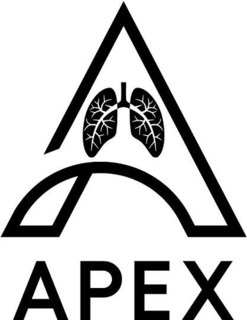 A APEX logo