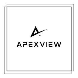 A APEXVIEW logo