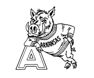 A ARKANSAS logo