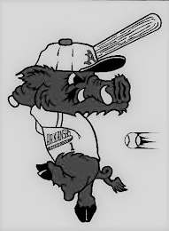 A ARKANSAS RAZORBACKS logo