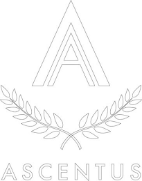 A ASCENTUS logo