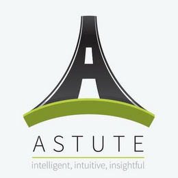 A ASTUTE INTELLIGENT, INTUITIVE, INSIGHTFUL logo