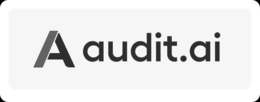 A AUDIT.AI