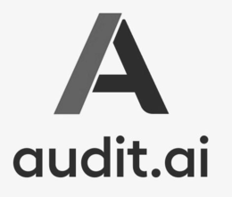A AUDIT.AI