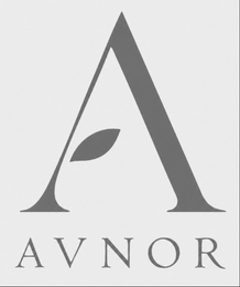 A AVNOR logo