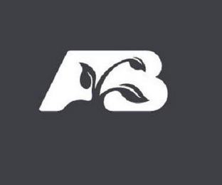 A B logo