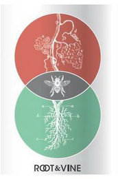 A B C ROOT & VINE logo