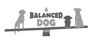 A BALANCED DOG logo