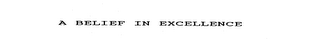 A BELIEF IN EXCELLENCE logo