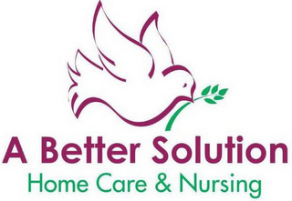 A BETTER SOLUTION HOME CARE & NURSING logo