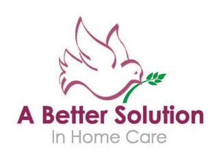 A BETTER SOLUTION IN HOME CARE logo