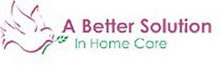 A BETTER SOLUTION IN HOME CARE logo