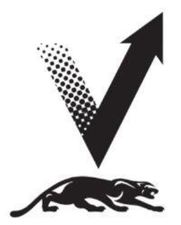 A BLACK CAT BELOW A VECTOR logo