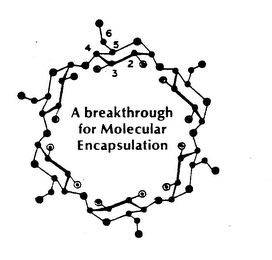 A BREAKTHROUGH FOR MOLECULAR ENCAPSULATION 23456 logo