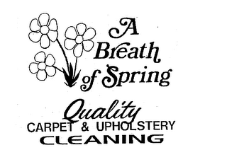 A BREATH OF SPRING QUALITY CARPET & UPHOLSTERY CLEANING logo