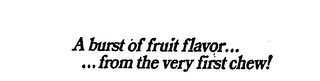 A BURST OF FRUIT FLAVOR...  ...FROM THE VERY FIRST CHEW! logo