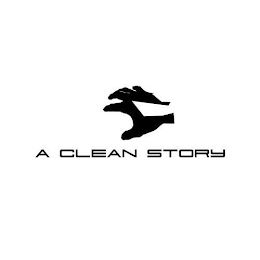 A CLEAN STORY logo