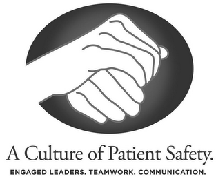 A CULTURE OF PATIENT SAFETY. ENGAGED LEADERS. TEAMWORK. COMMUNICATION. logo