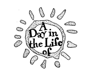 A DAY IN THE LIFE OF logo